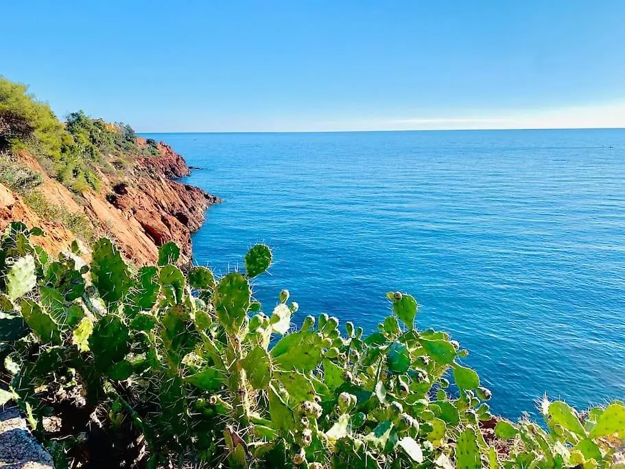 Apartment Vue Mer - Refait A Neuf - Clim - Parking - 4 Personnes Theoule-sur-Mer France