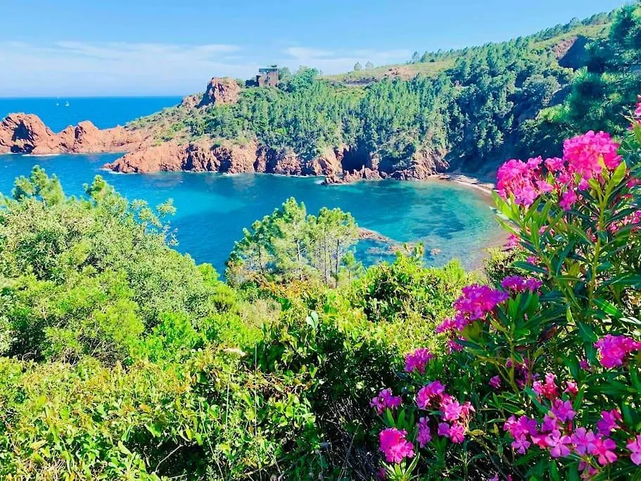 Apartment Vue Mer - Refait A Neuf - Clim - Parking - 4 Personnes Theoule-sur-Mer